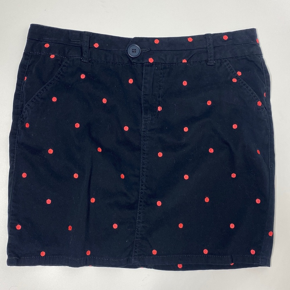 Telluride clothing company skirt